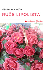 Festival cveća "Ruže Lipolista"