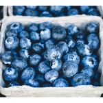 Dani borovnice na Kopaoniku od 26. do 28. jula 19 dani-borovnice-kopaonik-2019