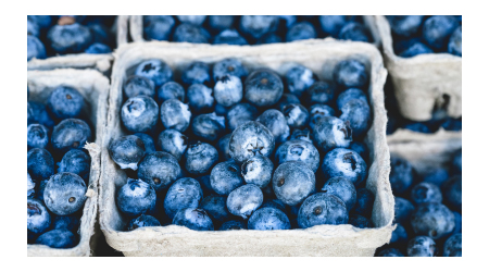 Dani borovnice na Kopaoniku od 26. do 28. jula 7 dani-borovnice-kopaonik-2019