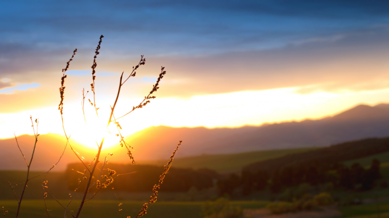 Letnje manifestacije na planinama Srbije 7 letnje manifestacije na planinama srbije