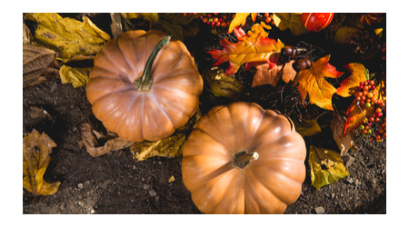 Gastronomsko-turistički događaj - Dani Vojvodine u Beogradu 7 dani-vojvodine-u-beogradu