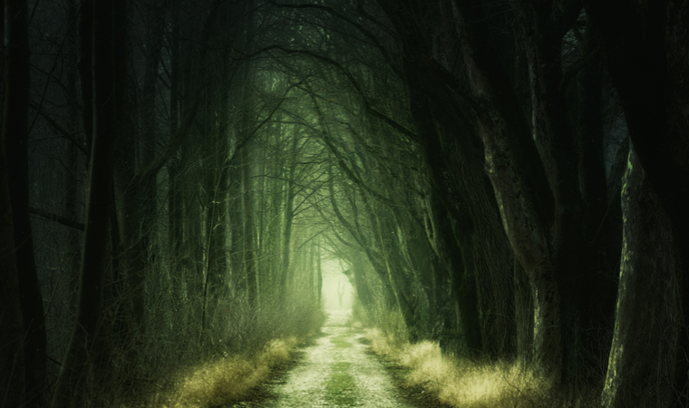 13. Festival srpskog filma fantastike i šetnja zombija u Beogradu 8 fsff2019