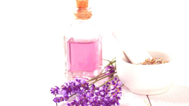 wellness i spa fest 2019 metropol palace