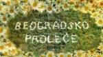 beogradsko proleće