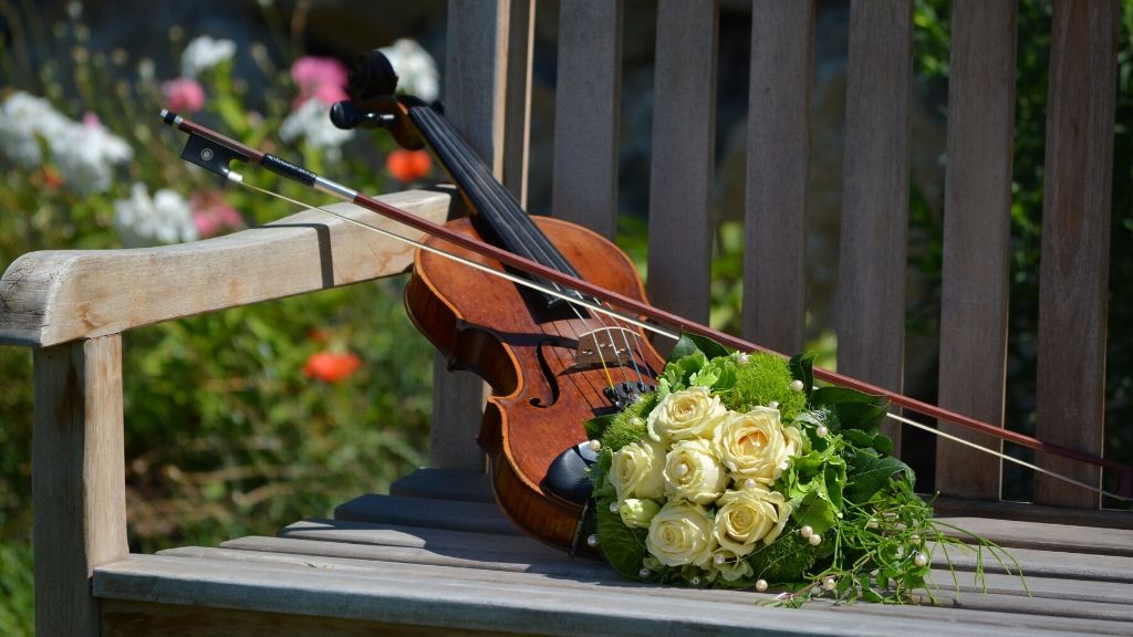 violina carevcevi dani