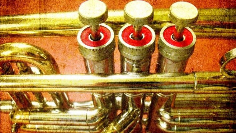 sabor trubača u guči