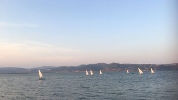 Golubac - gradić mediteranskog šarma 2 golubac