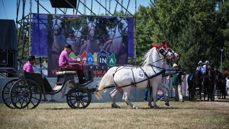 Gospojina 2022: Dođi i provedi se 7 gospojina novi bečej