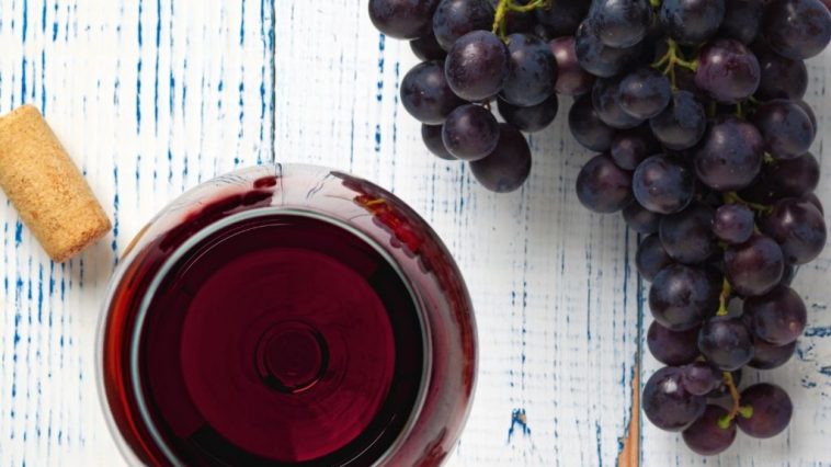 Jesenje manifestacije u slavu grožđa i vina 7 vinske manifestacije