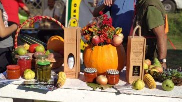 festival vojvodjanskih festivala rogalj