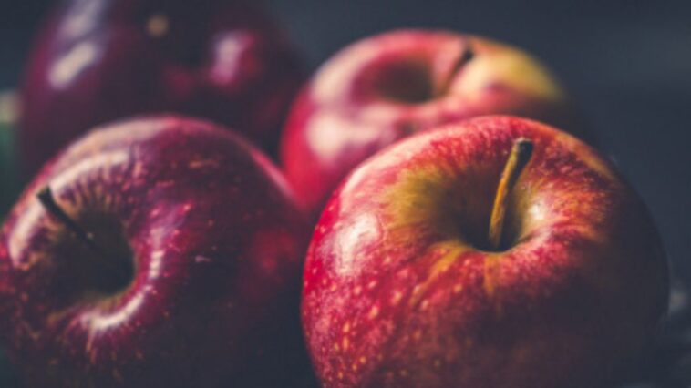 Crnorečje u pesmi i igri