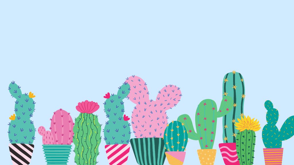 kaktus festival