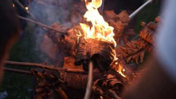 Tradicija na drugačiji način: LilaLo festival u Loznici 11 LilaLo festival Loznica