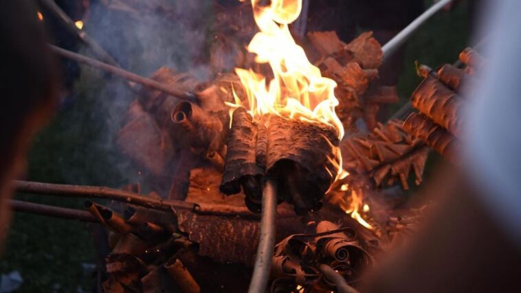 Tradicija na drugačiji način: LilaLo festival u Loznici 7 LilaLo festival Loznica