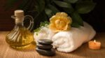 Posle deset godina, Balkan Spa Summit ponovo u Srbiji 17 balkan spa summit
