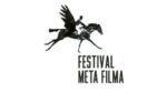 Festival meta filma