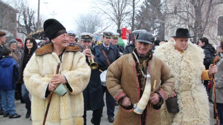 Golubinačke mačkare